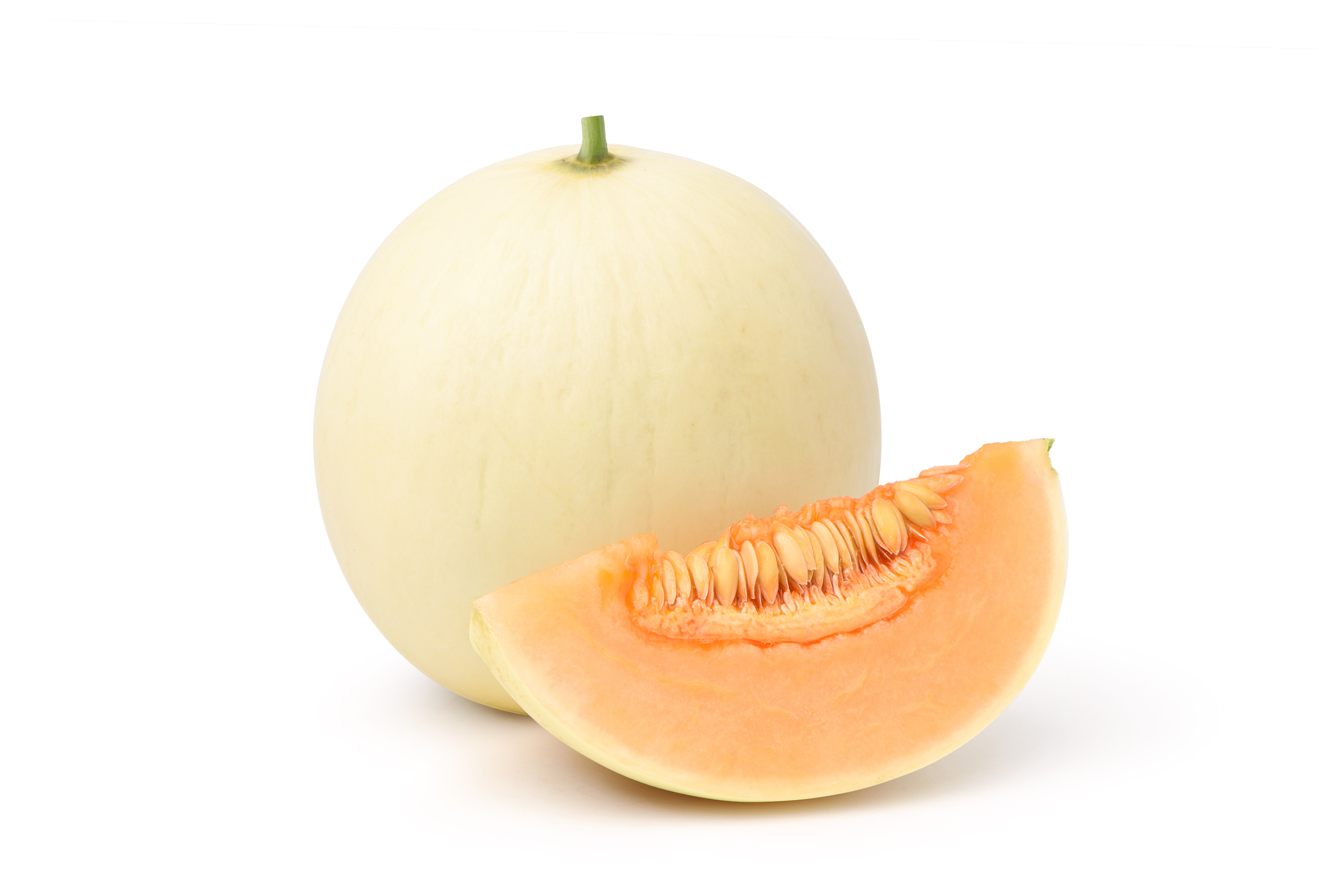 Melone Rund Plantalandkatalog 2024